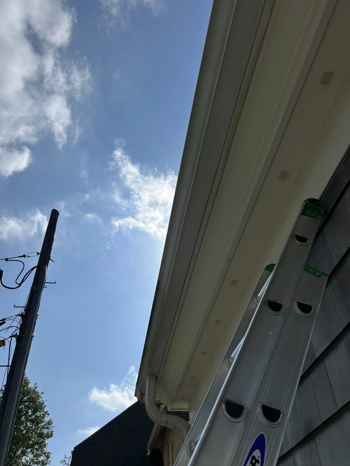 511262592_122138316032768099_7769261384777689083_n